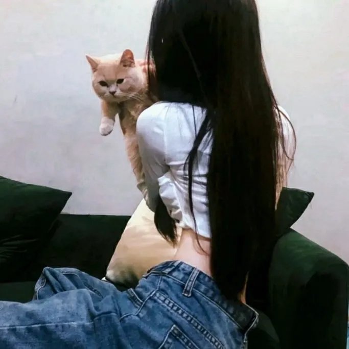 史酷比:鬼龙传说